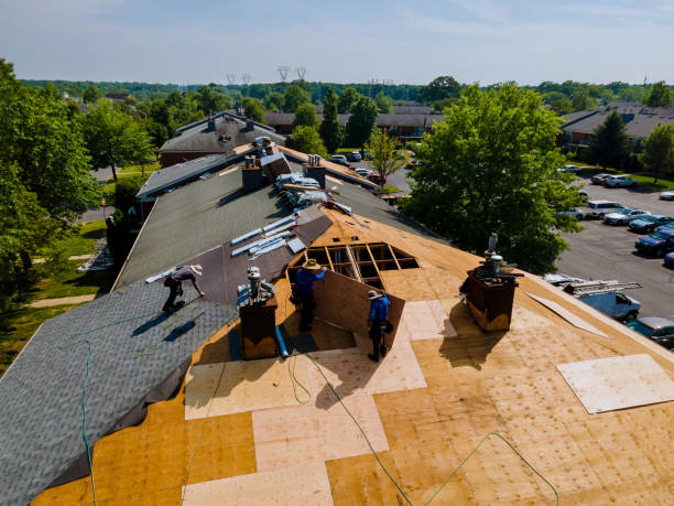 Quick and Trustworthy Emergency Roof Repair Services in Town And Country, MO